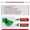 AAUTOMATIC COW DRINKING WATER BOWL